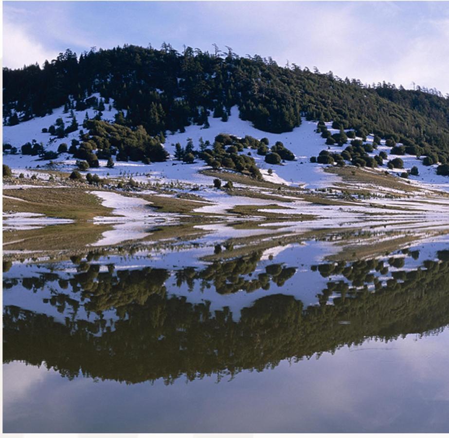 Ifrane Chaletヴィラ エクステリア 写真